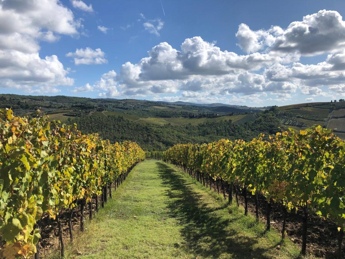 Villa Fattoria Di Rignana Winery Bnb à Greve in Chianti Extérieur photo