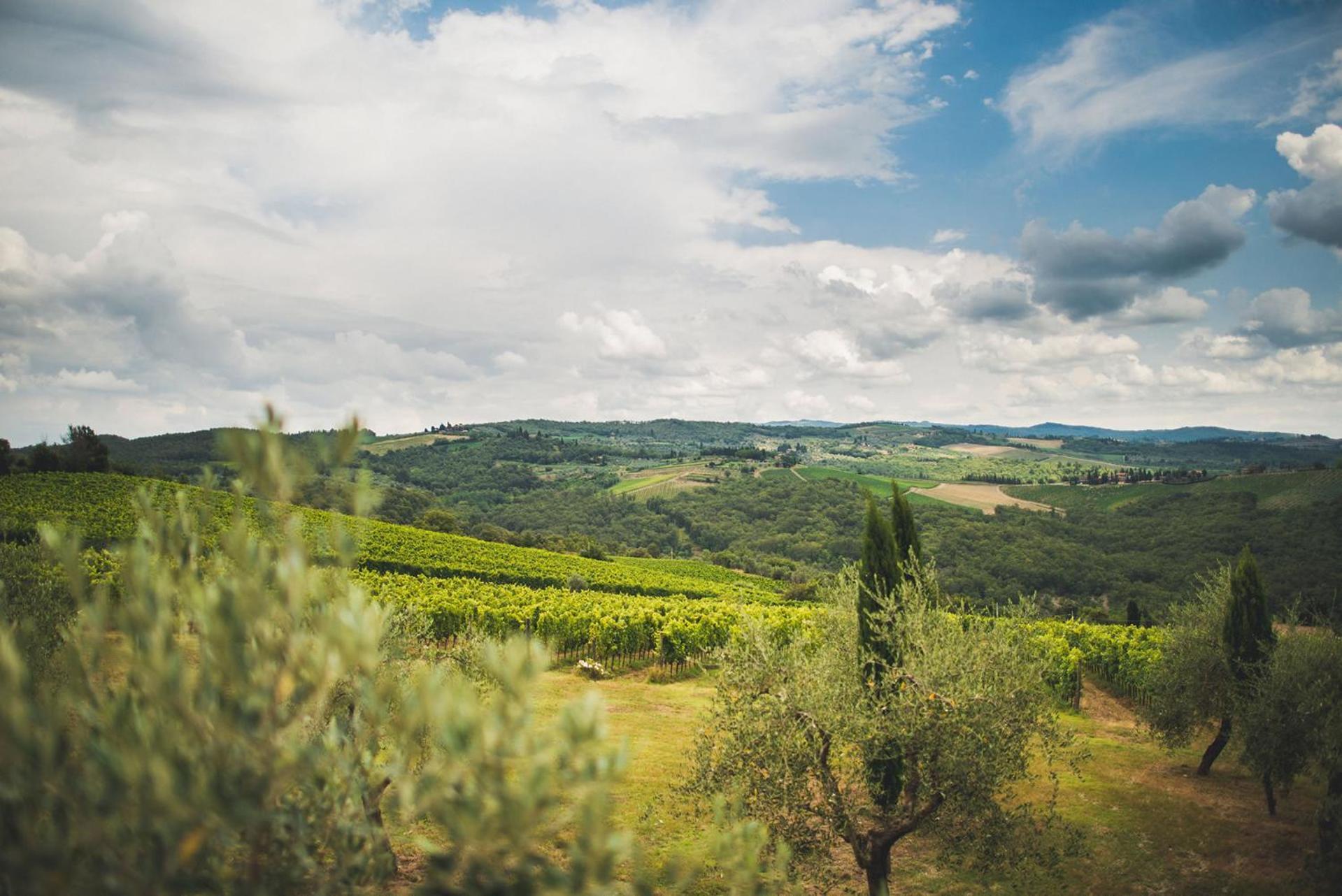 Villa Fattoria Di Rignana Winery Bnb à Greve in Chianti Extérieur photo